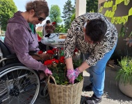 Warsztaty sadzenia i pielęgnacji.
