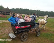 Folwark konny Hermanów