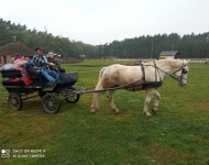 Folwark konny Hermanów
